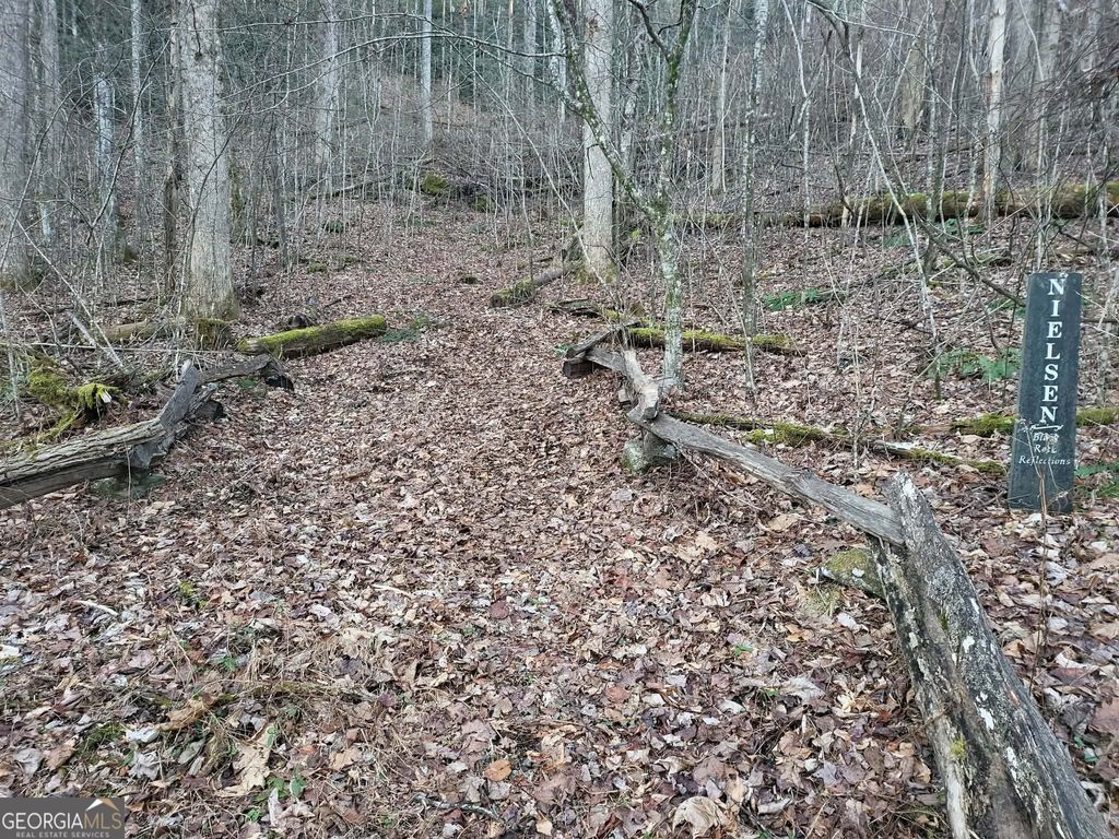 Photo of 7 Hawkeye Trail, Rabun Gap, GA 30568 (MLS # 10673565)