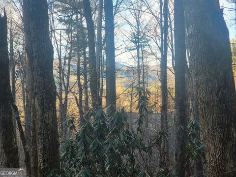 Photo of 7 Hawkeye Trail, Rabun Gap, GA 30568 (MLS # 10673565)