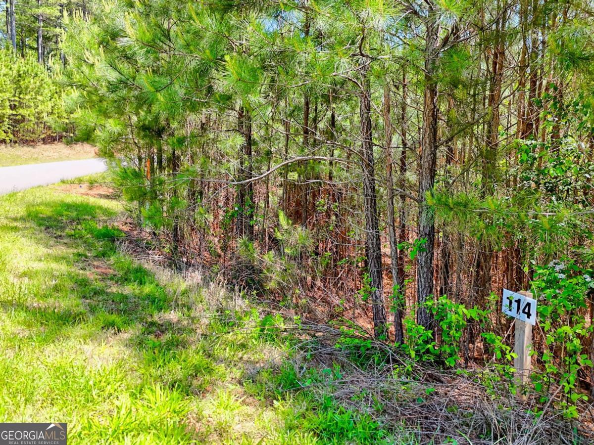 LOT 114 Sandy Lake LN