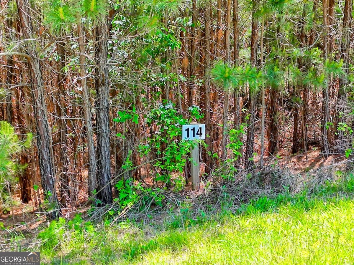 LOT 114 Sandy Lake LN