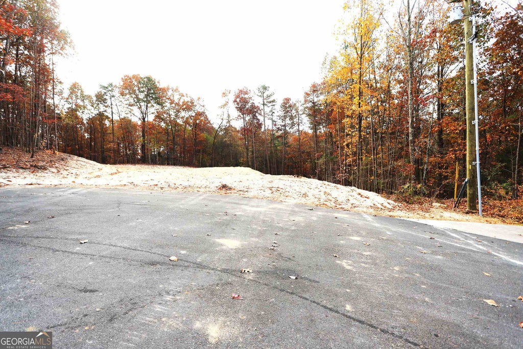 Photo of 249 Sara Jane Lane, Summerville, GA 30747 (MLS # 20157357)