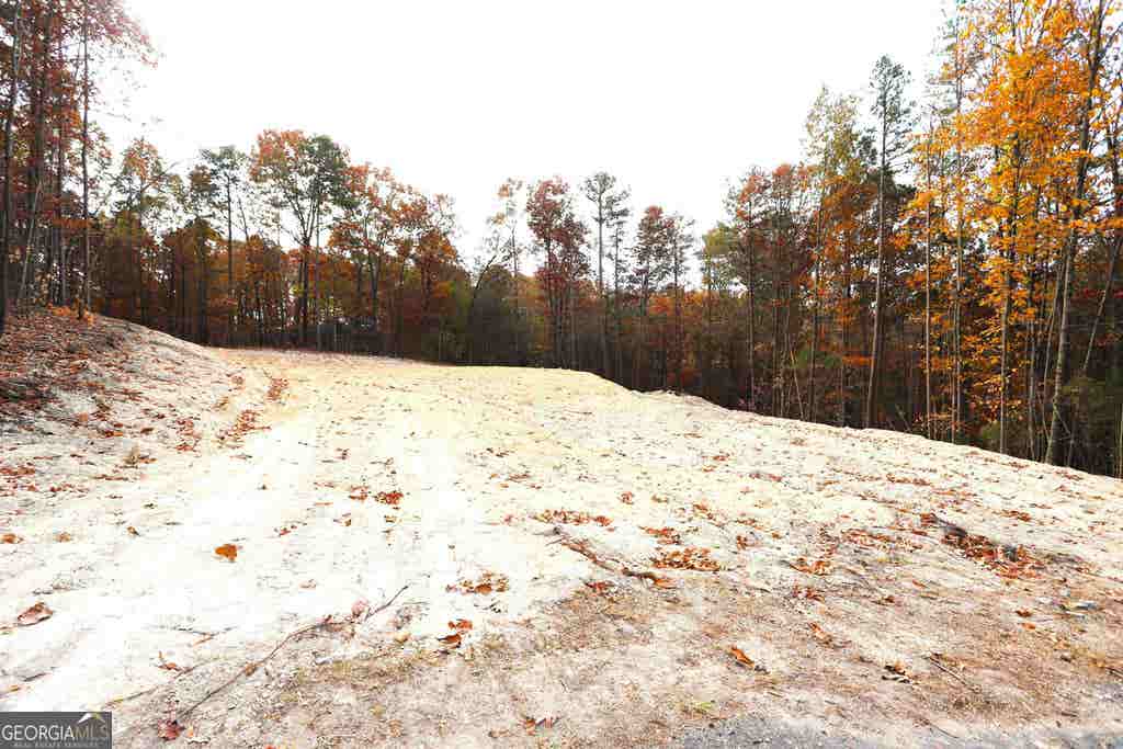 Photo of 249 Sara Jane Lane, Summerville, GA 30747 (MLS # 20157357)