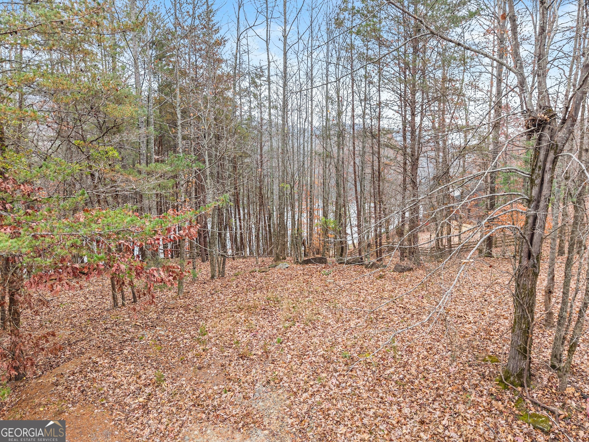 0 South Laceola Road