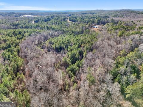 21.7+/- AC Franklin PKWY Franklin GA 30217