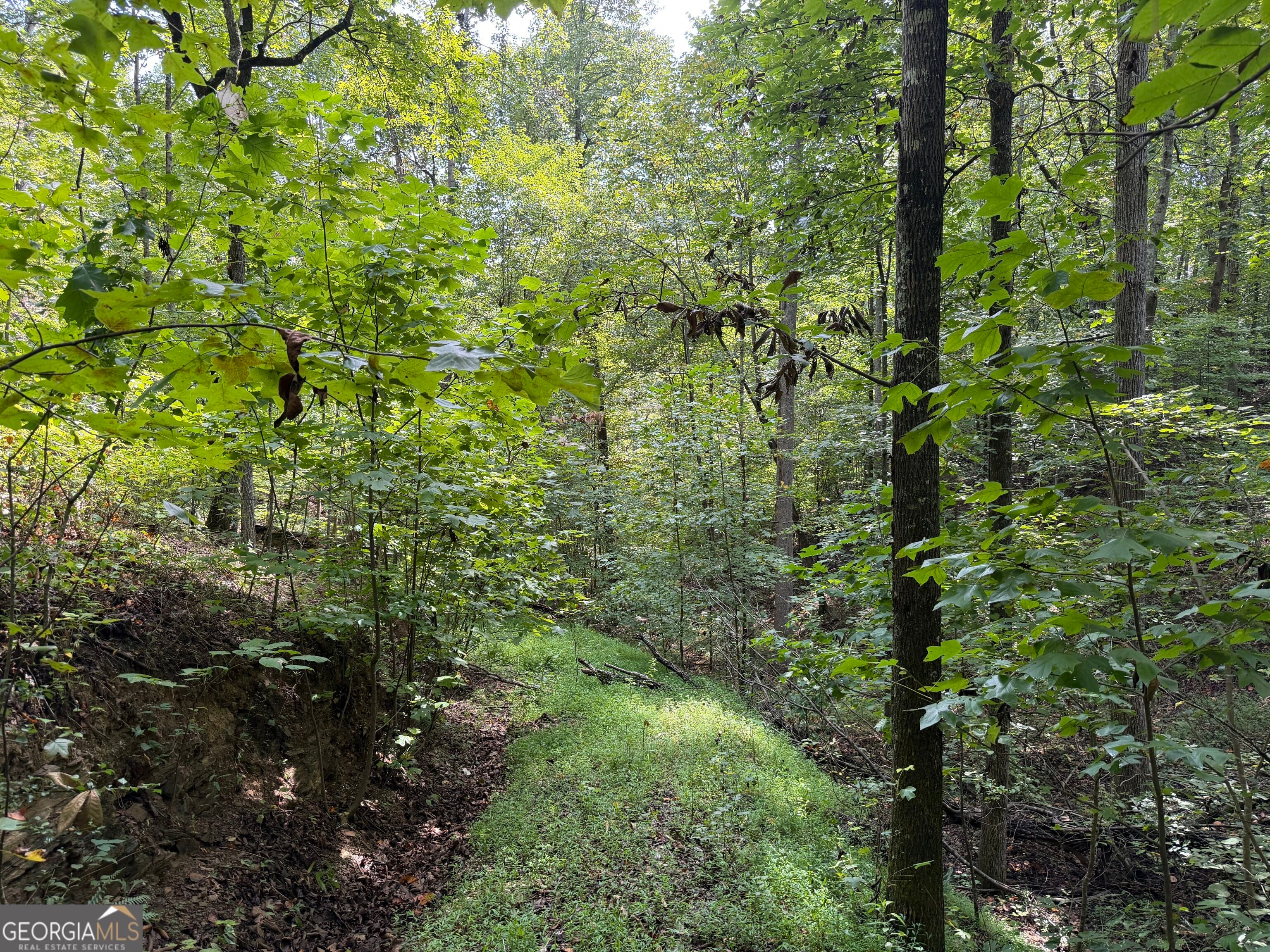0 Fuller Mountain RD