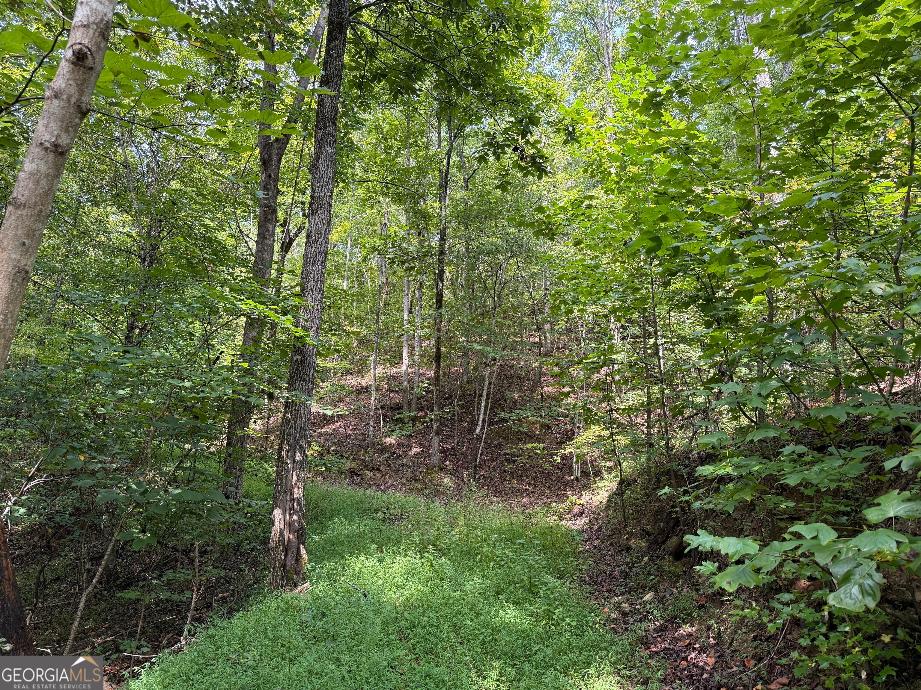 0 Fuller Mountain RD
