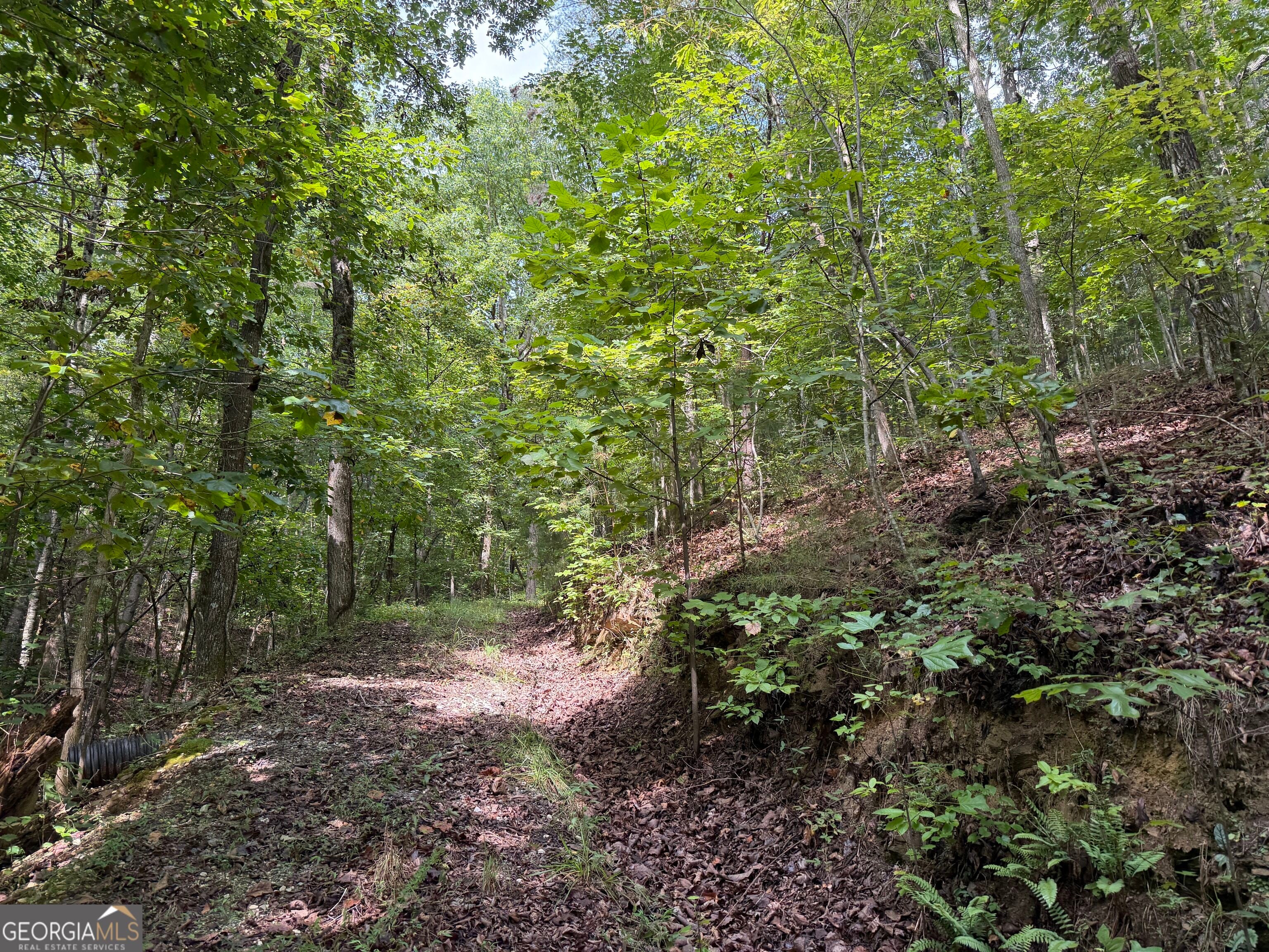 0 Fuller Mountain RD