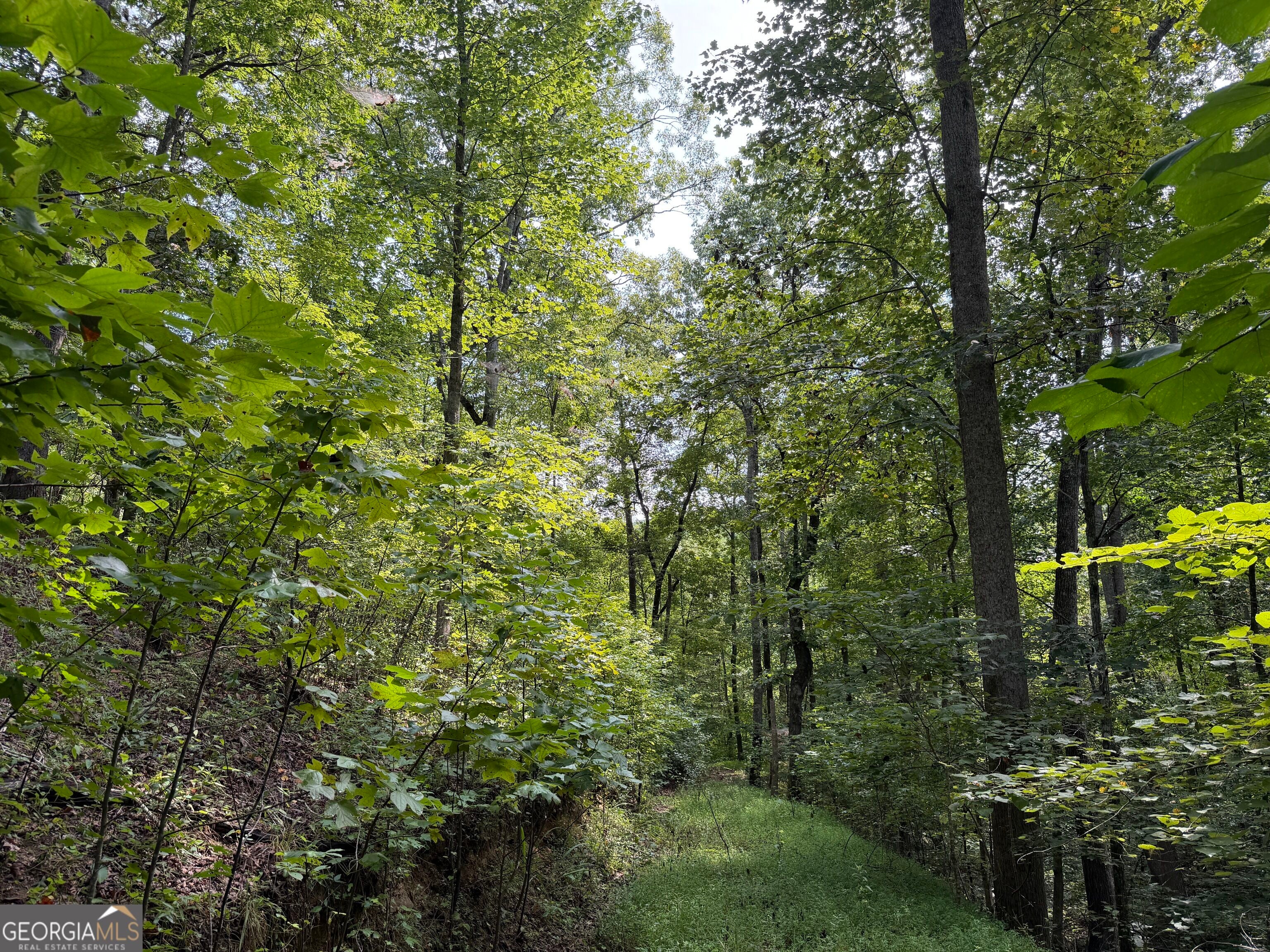 0 Fuller Mountain RD