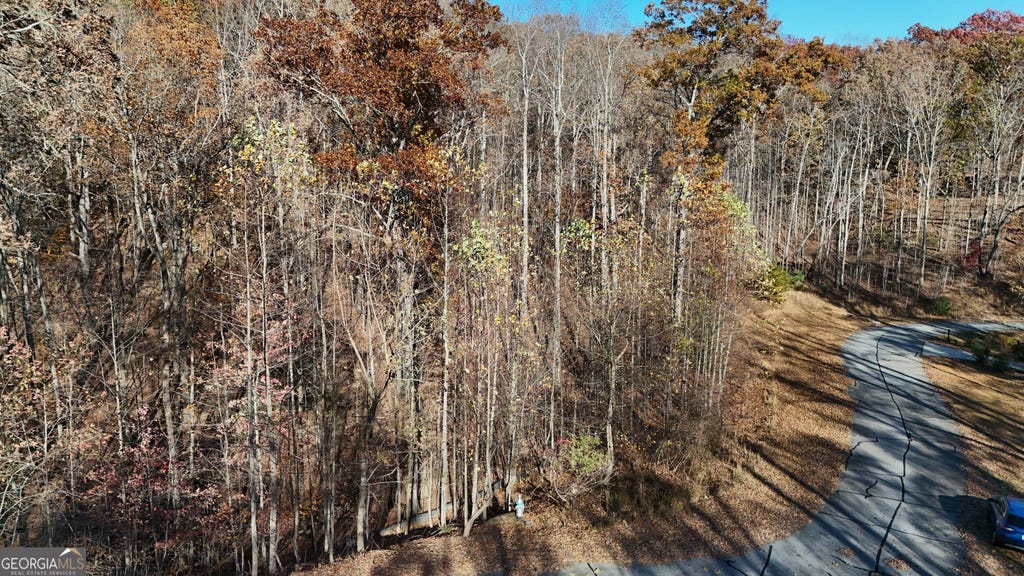 Photo of 198 Northshore Drive, Cleveland, GA 30528 (MLS # 10831293)