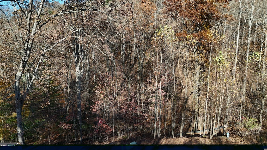 Photo of 198 Northshore Drive, Cleveland, GA 30528 (MLS # 10831293)