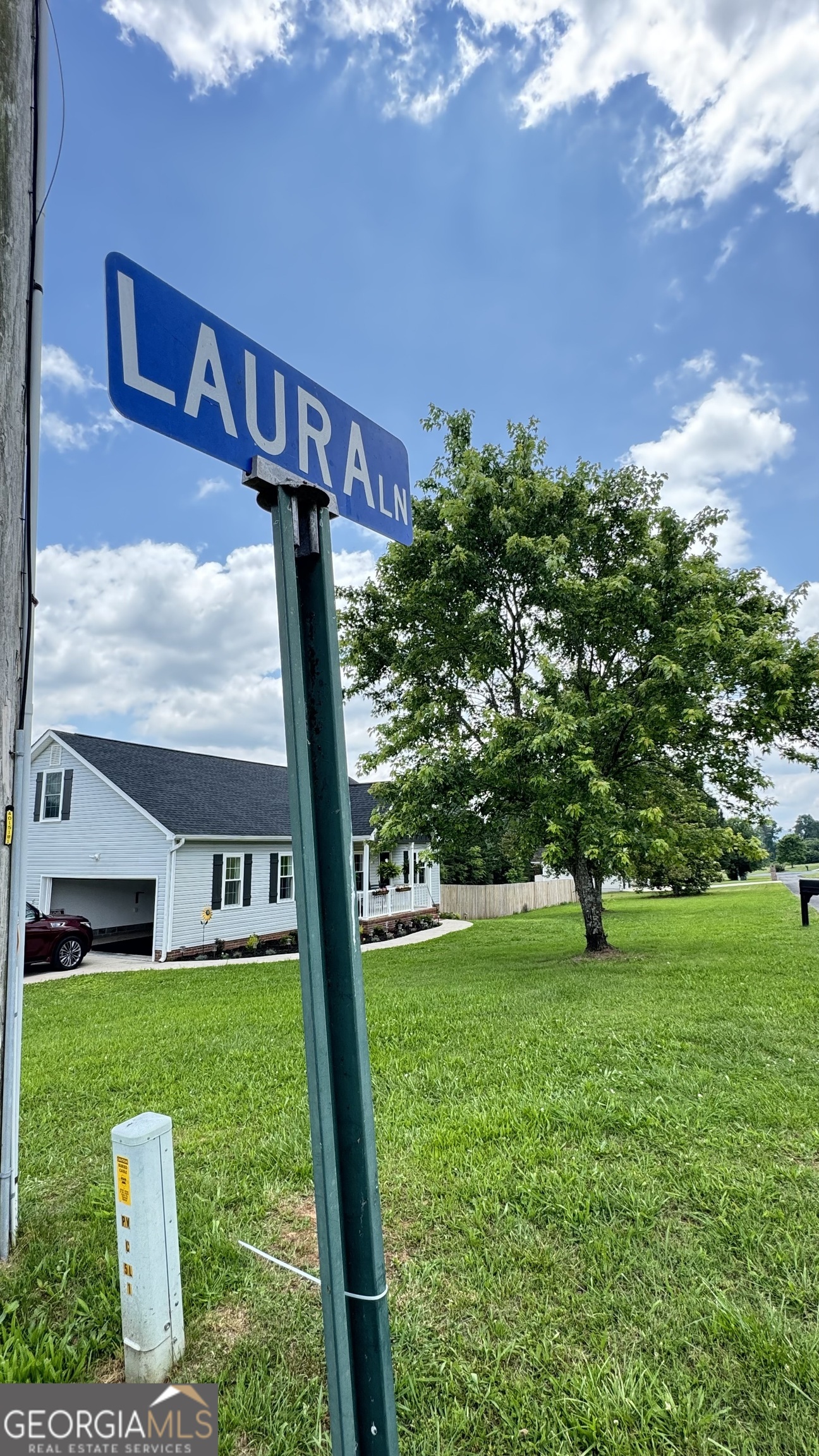 19 Laura LN
