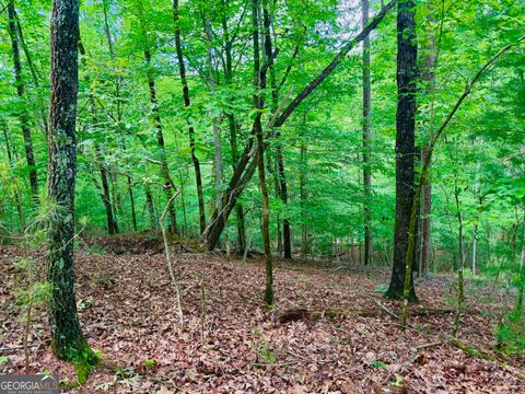 1190 Gibe CT Ellijay GA 30540