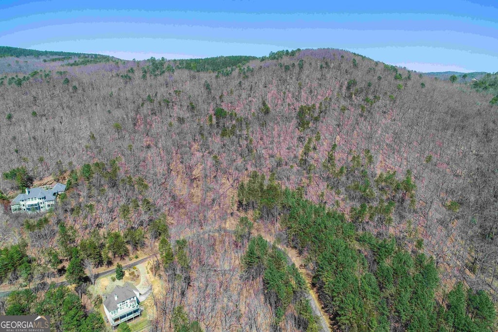 Photo of 456 Yates Circle, Clarkesville, GA 30523 (MLS # 10834234)