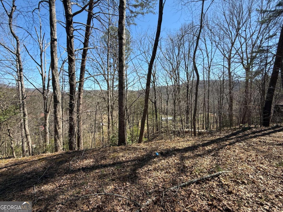 Unrestricted building lot located near Lake Chatuge! This 0.22ac lot recently had a 2 bedroom septic installed. Water and electric are available at the road. Seasonal views of Bell Mountain and the lake. View can be opened up with some tree trimming. The lot sits perfectly for someone looking to build with a walkout basement. It does lay more flat at the top. No restrictions allow for RVs, tiny homes, small mobile home etc. Easy drive to local marina and public boat launch. Not many unrestricted lots available that also have a septic system installed!!