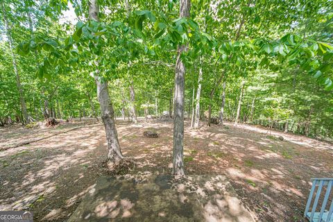 A home in Ellijay