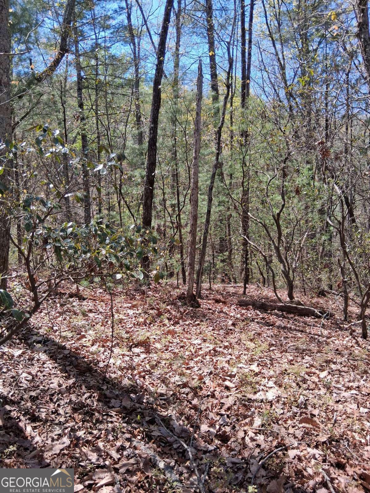 LOT 751 Morton DR 751/752