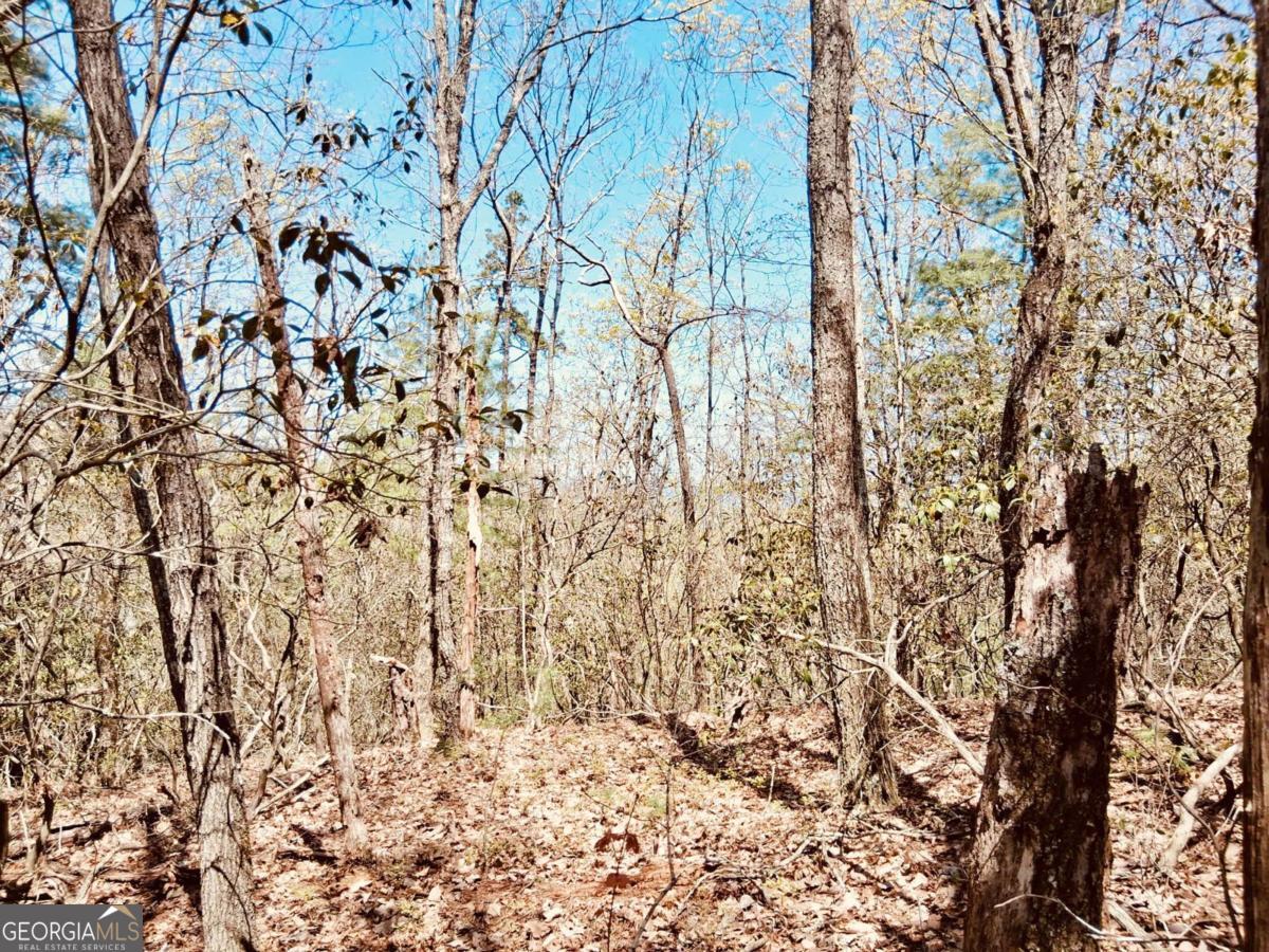 LOT 751 Morton DR 751/752