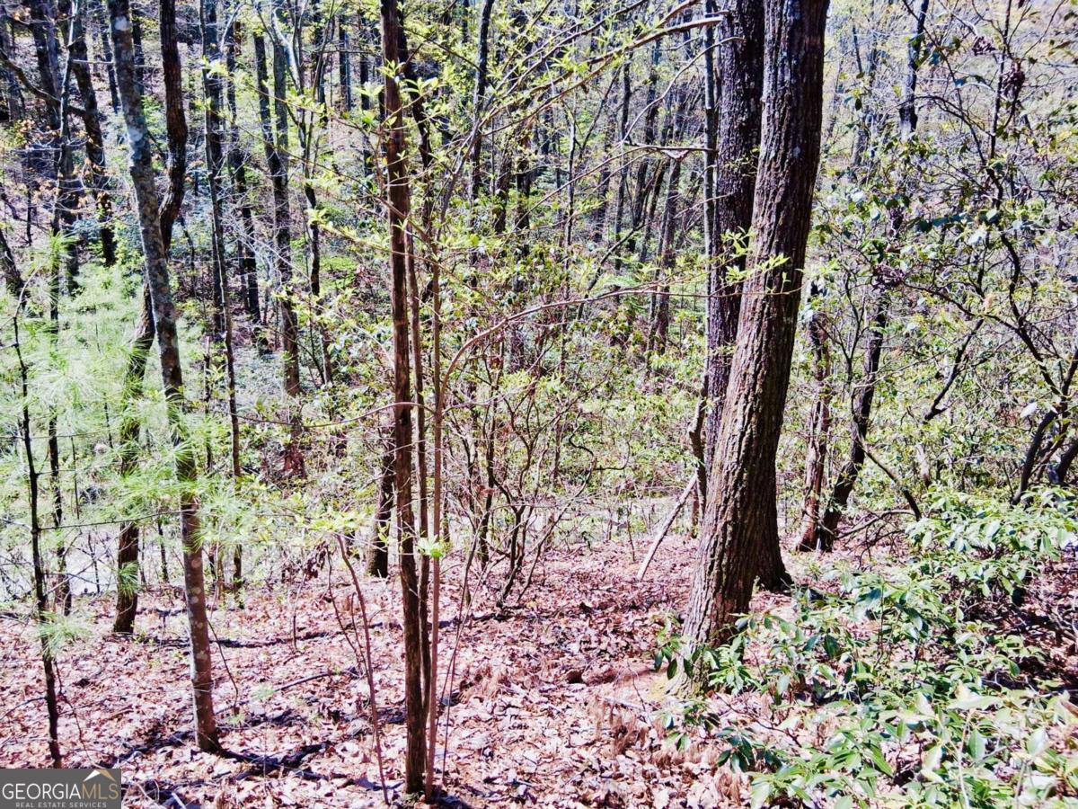 LOT 751 Morton DR 751/752