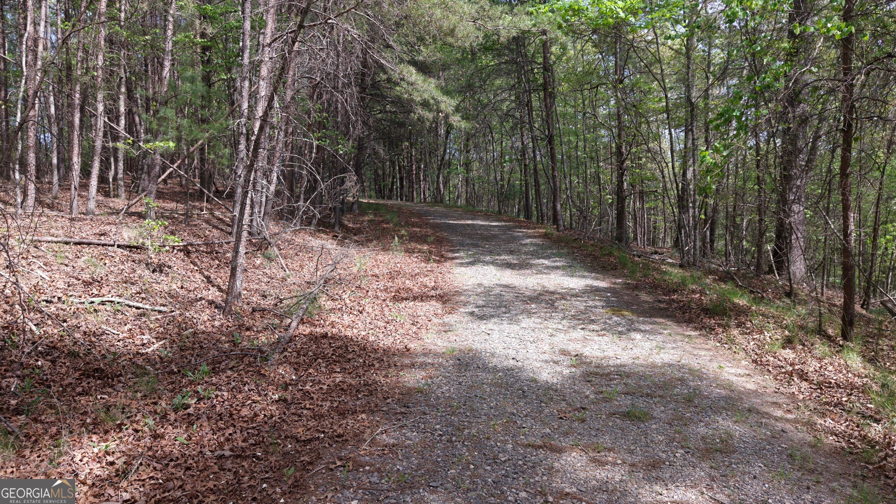 LOT 20 Horseshoe Bend RD