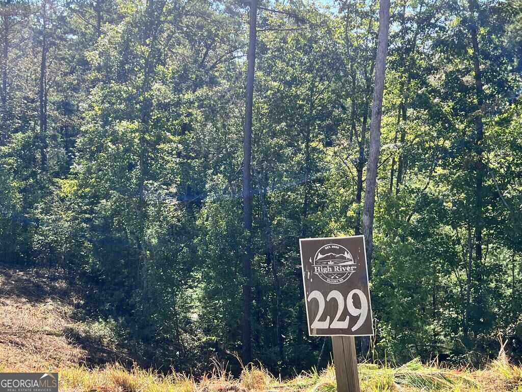 LT 229 Woodstone TRL