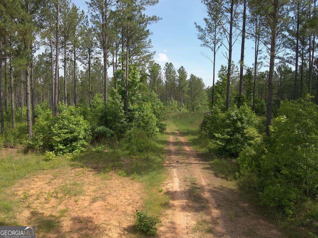 98.81 Ellis RD
