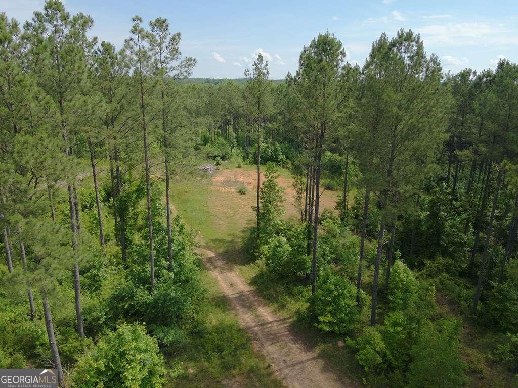 98.81 Ellis RD