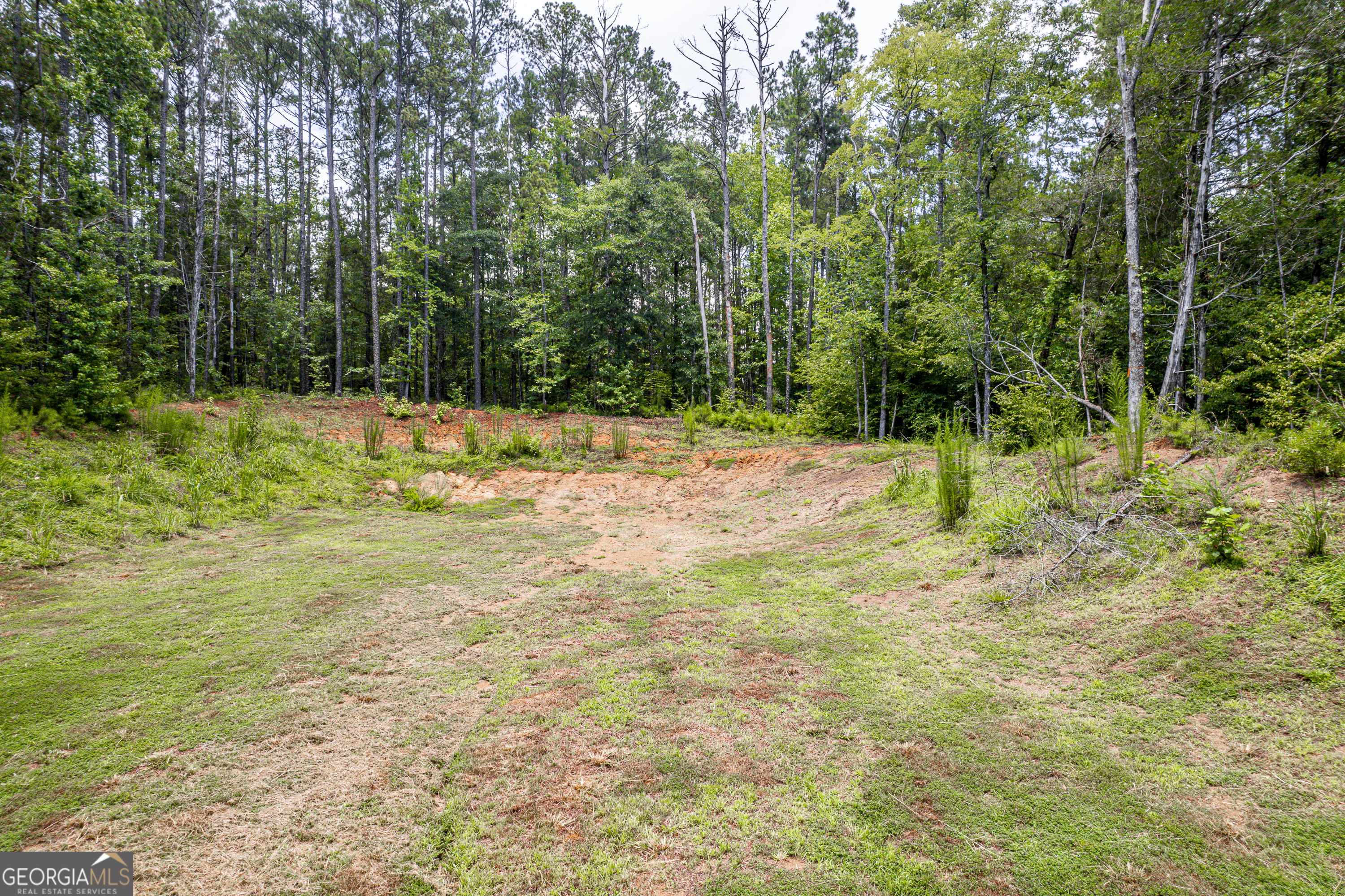 82 Cedar DR