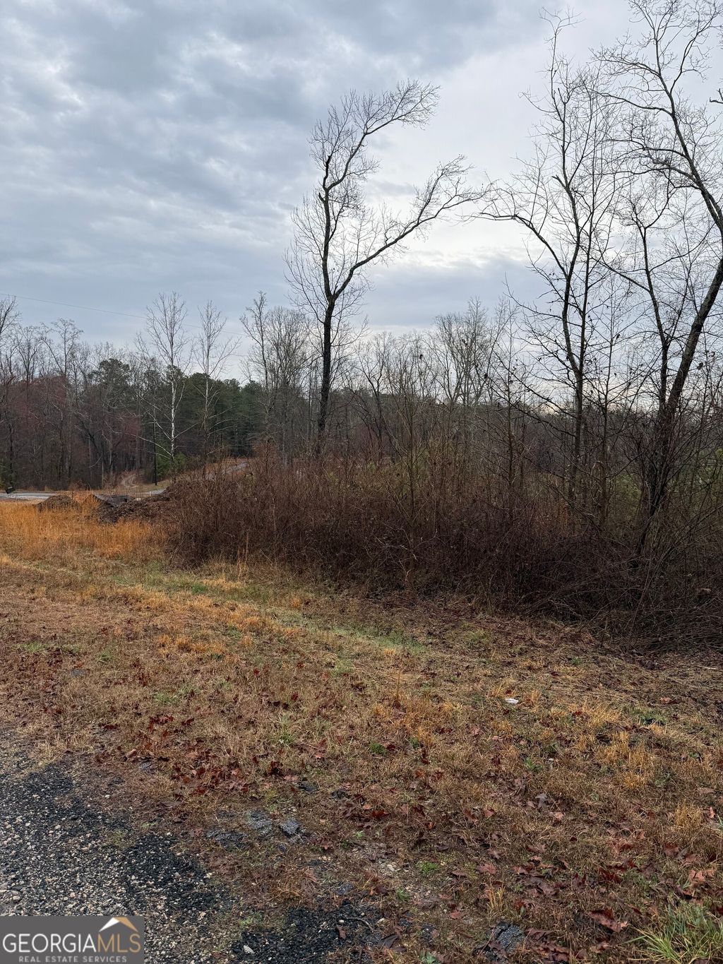 Photo of 874 Forrester Cemetery Road, Covington, GA 30014 (MLS # 10699793)