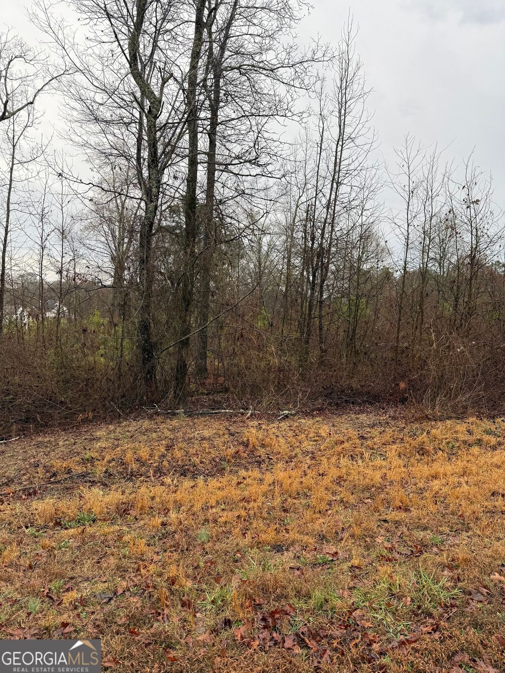 Photo of 874 Forrester Cemetery Road, Covington, GA 30014 (MLS # 10699793)