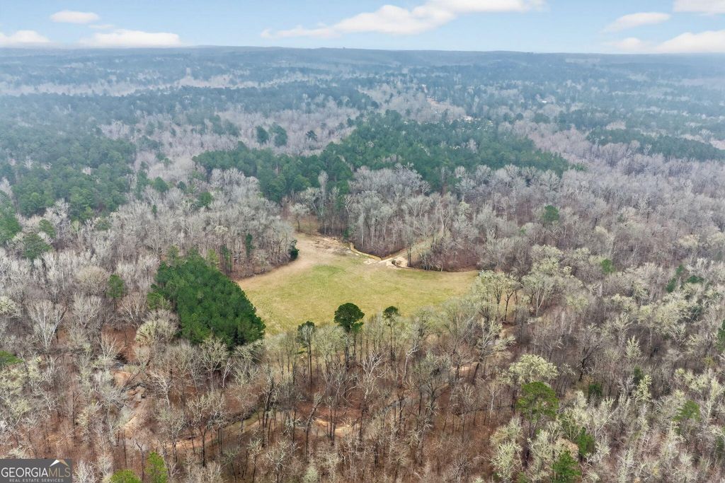 Photo of 0 Hough Johnson Road, Haddock, GA 31033 (MLS # 10704302)