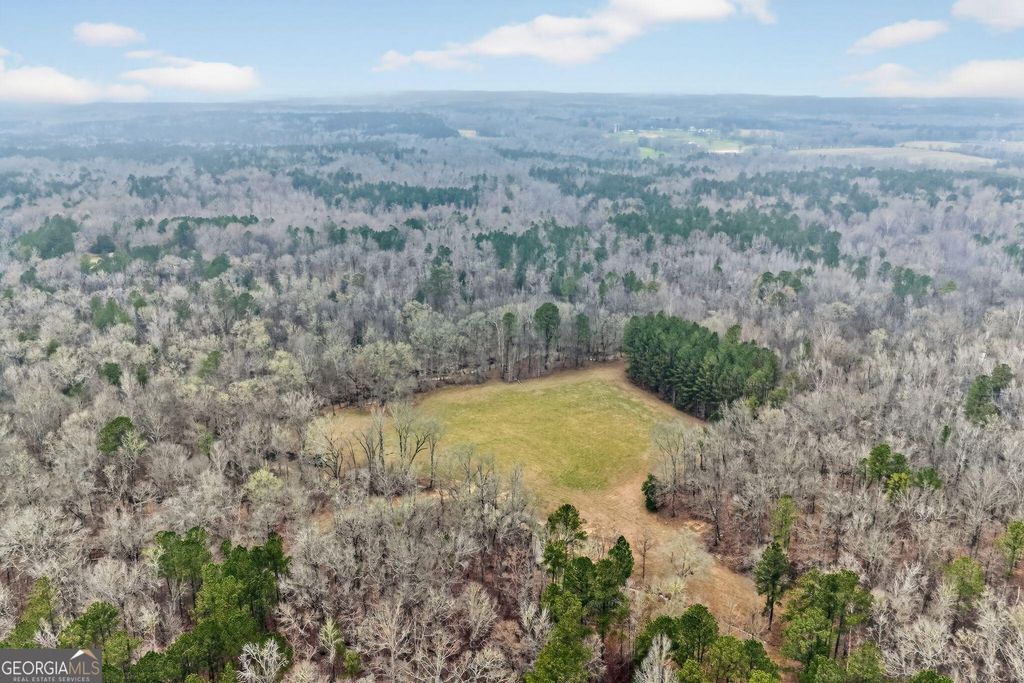 Photo of 0 Hough Johnson Road, Haddock, GA 31033 (MLS # 10704302)