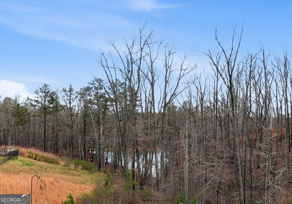 Photo of 720 Cherokee Rose, Bremen, GA 30110 (MLS # 10710324)