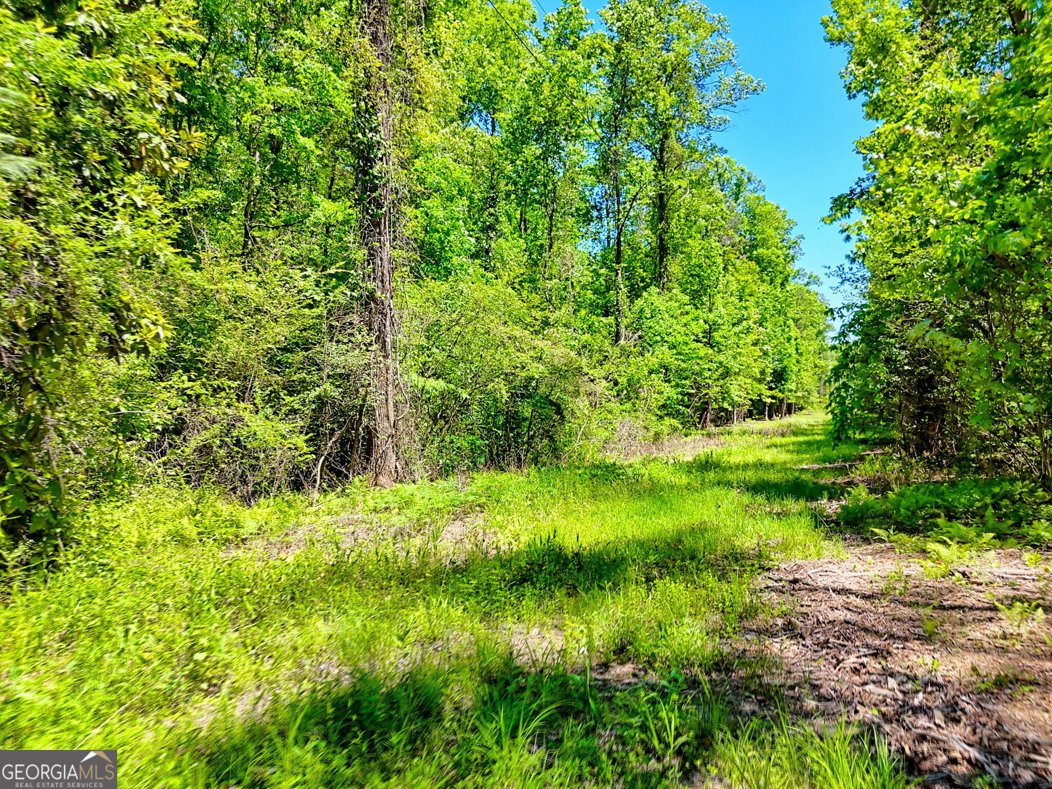 Two flat acres with 271 feet of frontage on Panther Creek! Fiber internet, water & septic already installed. One acre mulched. Existing 'shack' on property can be left in place or torn down. Easy access from Bear Gap Rd and a stone's throw from Glen-Ella Springs Hotel & Restaurant (voted the #1 B&B in North Georgia). When you walk the property it's not hard to imagine the sight and sound of Panther Creek which runs the entire length of the property, or the tranquility of the cool mountain air. Bring your blueprints and begin laying out your future memories on this easy-to-build on residential lot. See Associated Documents for additional details. Drivebys welcomed.