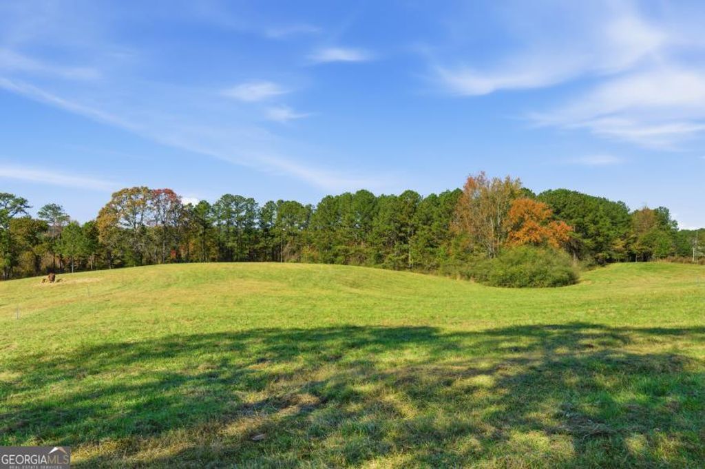 Photo of 22833 Ga Highway 100, Franklin, GA 30217 (MLS # 10640303)