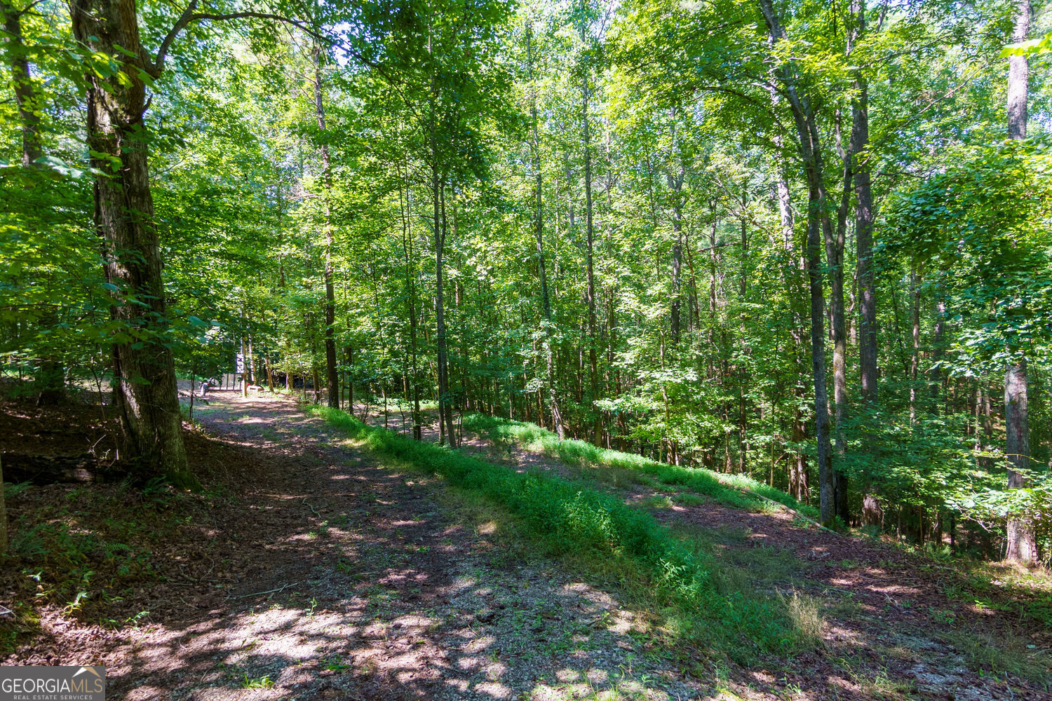 150 Waleska Woods CT