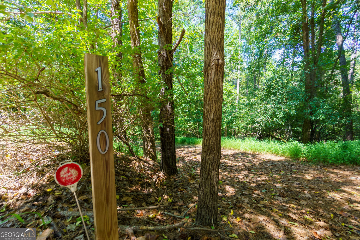 150 Waleska Woods CT