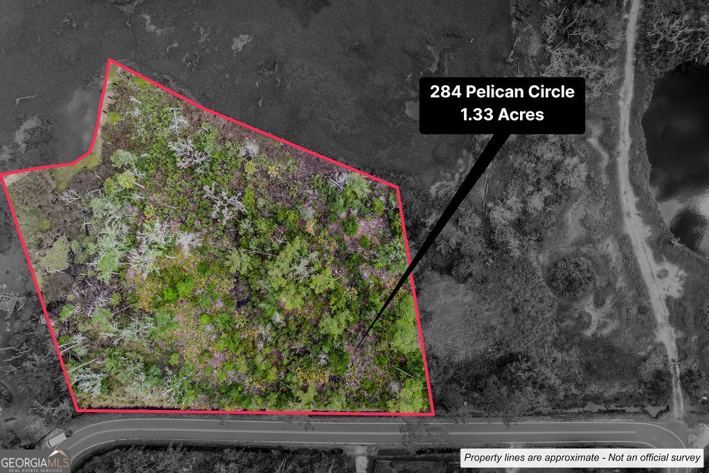 284 Pelican CIR