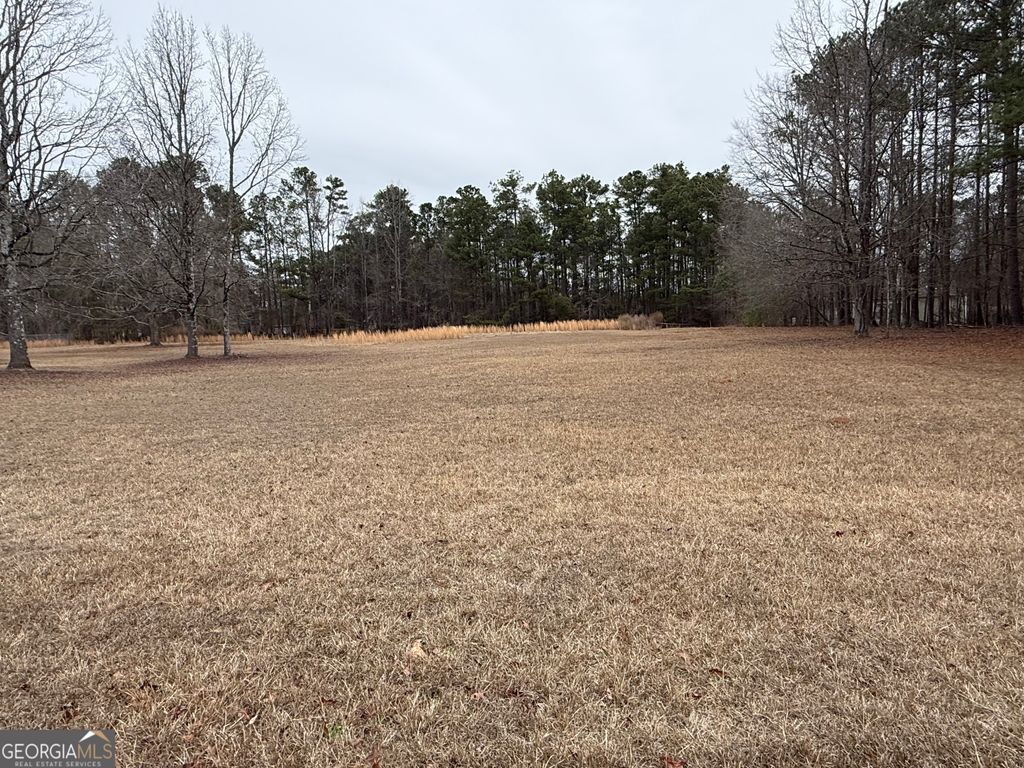 Photo of 225 Griffin Mountain Road NE, Conyers, GA 30013 (MLS # 10678814)