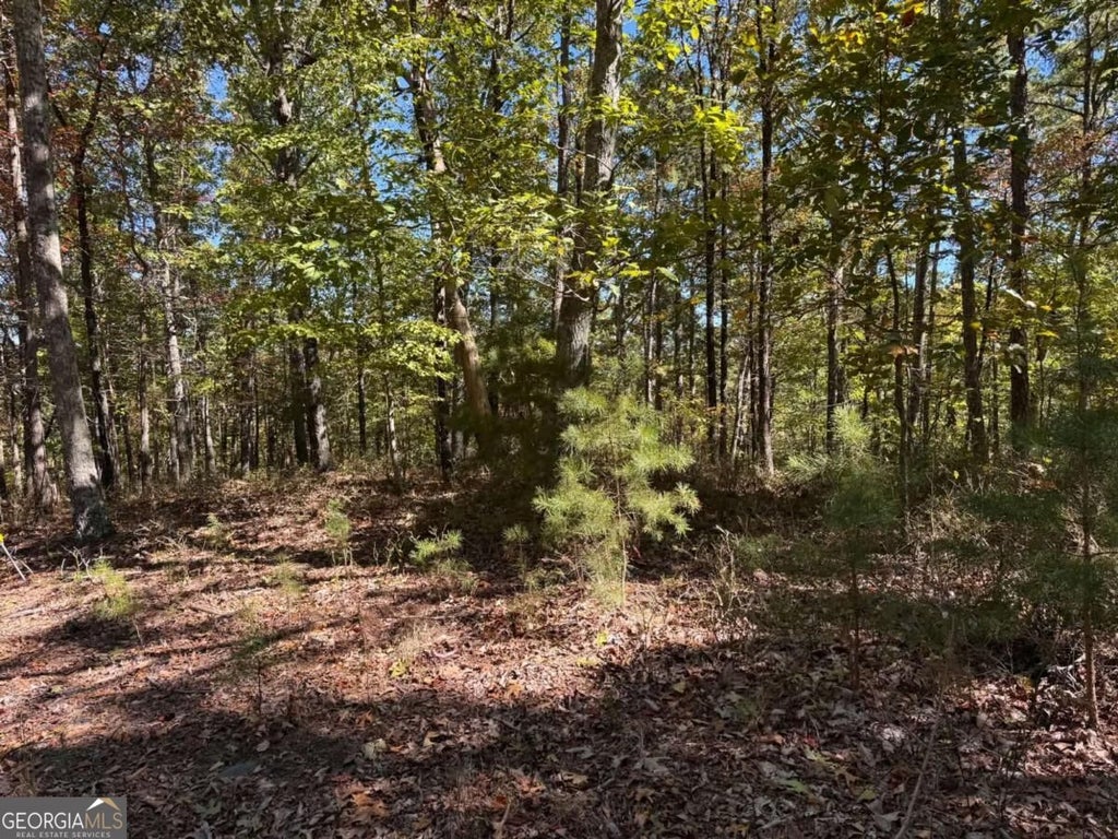 Photo of 1212 Jewel Court NE, Ranger, GA 30734 (MLS # 10880645)