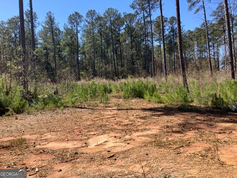 2920 Airline RD Mcdonough GA 30252