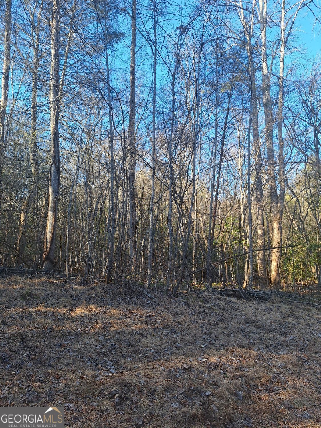 Photo 1 of 9 — LOTS 15A 16A 17 Mill Creek Acres LN, Blue Ridge, GA 30513