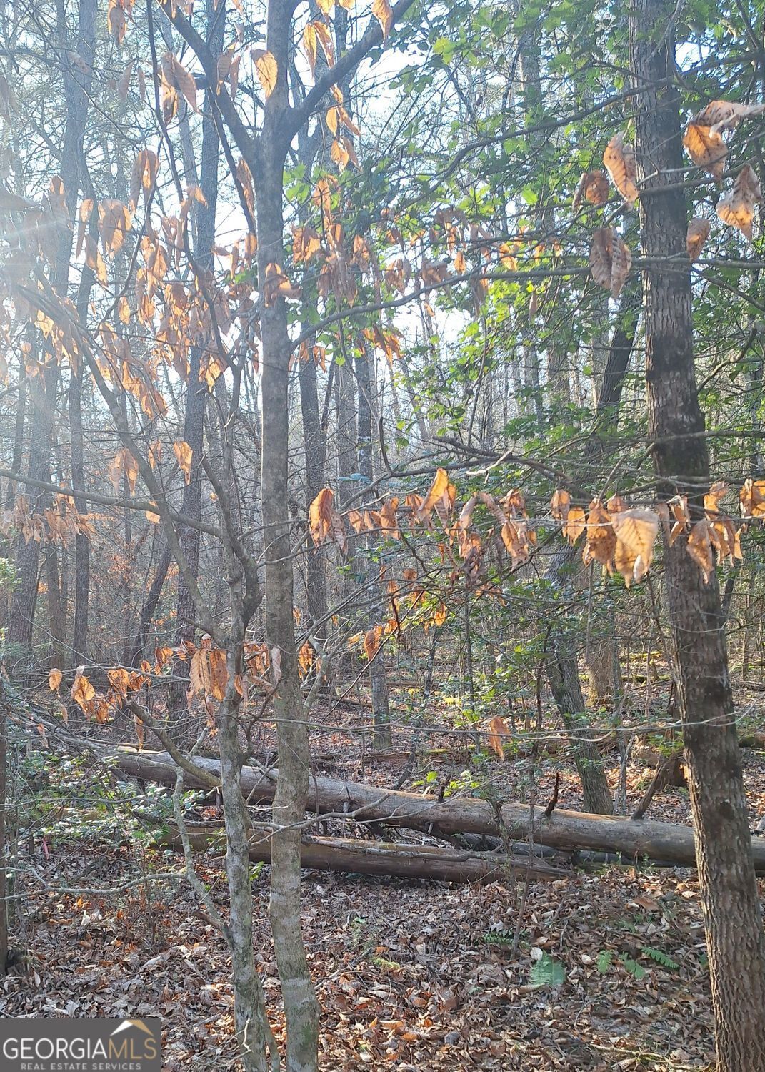 LOTS 15A 16A 17 Mill Creek Acres LN