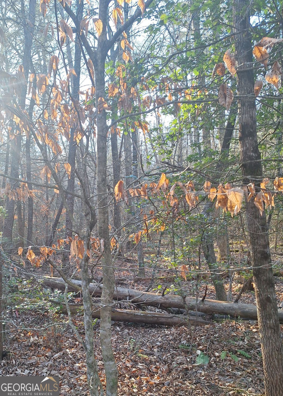 LOTS 15A 16A 17 Mill Creek Acres LN