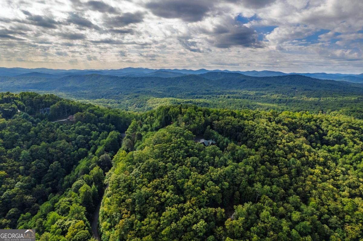 This isn't just land, it's your blank canvas. Welcome to Nature's Courtyard in Mineral Bluff, Georgia, home to this breathtaking 5.32-acre parcel, nestled in the Blue Ridge Mountains with spectacular long-range views, peaceful privacy, and some of the groundwork already complete. Ready for your mountain dreams to begin? Located just a short drive to NC, 15 miles from downtown Blue Ridge, 17 miles from Blairsville, and only 11 miles to Lake Blue Ridge, this gated community offers the perfect blend of mountain seclusion and modern convenience. You'll enjoy paved roads all the way to your driveway, underground utilities, community water access, and high-speed fiber internet available. You're just minutes from the fun, shopping, and dining in Blue Ridge, and a short drive to Blairsville's restaurants, shops, and hospital. This particular lot offers something special, a buildable home site with room to grow. Whether you envision a custom mountain home, a peaceful family retreat, or space for an outbuilding, workshop, or detached garage, you have options. Soil work is already complete. A rough driveway has been cut in. The land is rolling but usable and has a patially cleared homesite, with stunning views that could be opened up even more with a little vista pruning. Nature's Courtyard is a place where homes are built to complement nature, not compete with it. Protective covenants preserve the peaceful, natural feel of the community. No mobile homes, no commercial businesses, no clutter. Just beautiful homes that blend with the mountain setting. Homes here must be a minimum of 1,400 square feet of heated living space, ensuring a standard of quality and value throughout the neighborhood. Already own an RV? You are welcome to bring it, as long as it is stored in the rear yard. You can even use it for up to 10 days per month for recreational stays before your home is built. It is an ideal weekend base while you plan your mountain build.