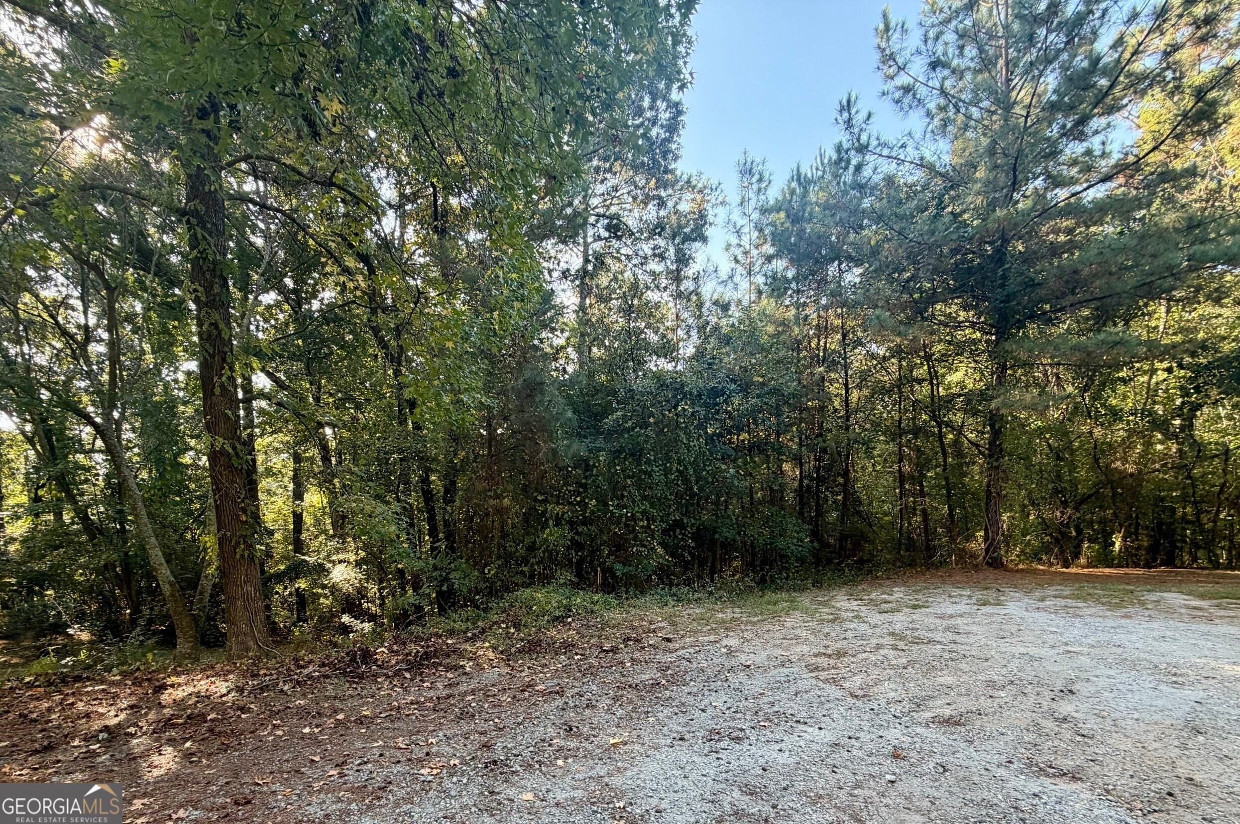 0 Dove CT LOT 113
