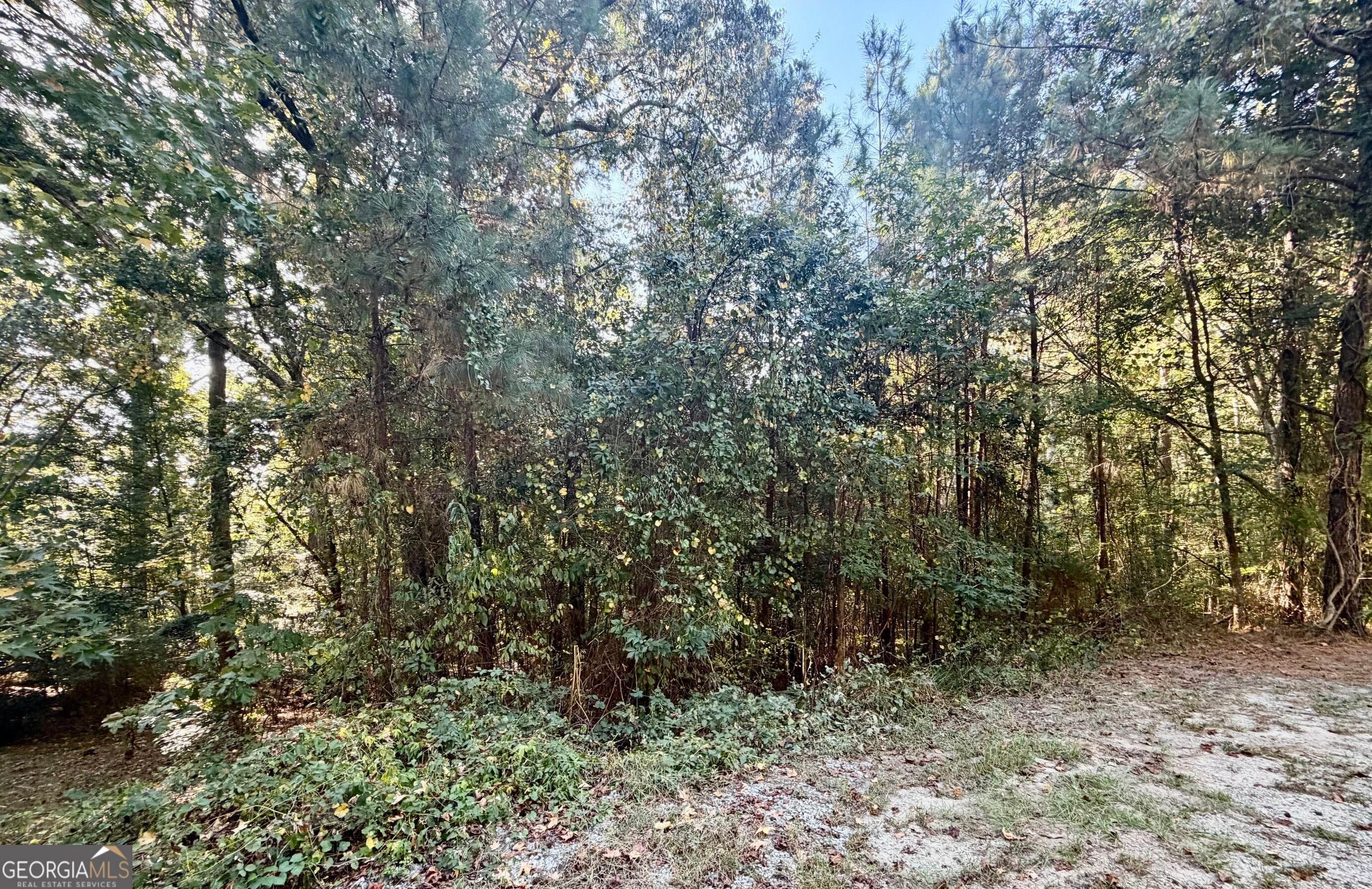 0 Dove CT LOT 113
