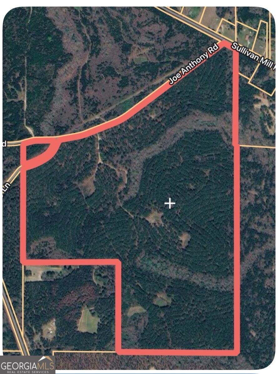 Photo of 0 Joe Anthony Rd, Senoia, GA 30276 (MLS # 10874186)