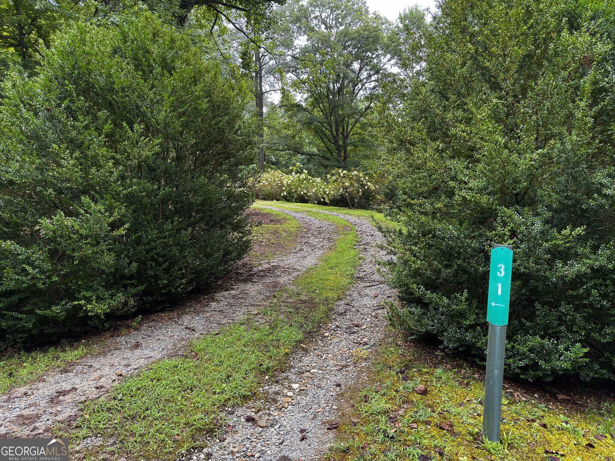 31 Bear Creek LN