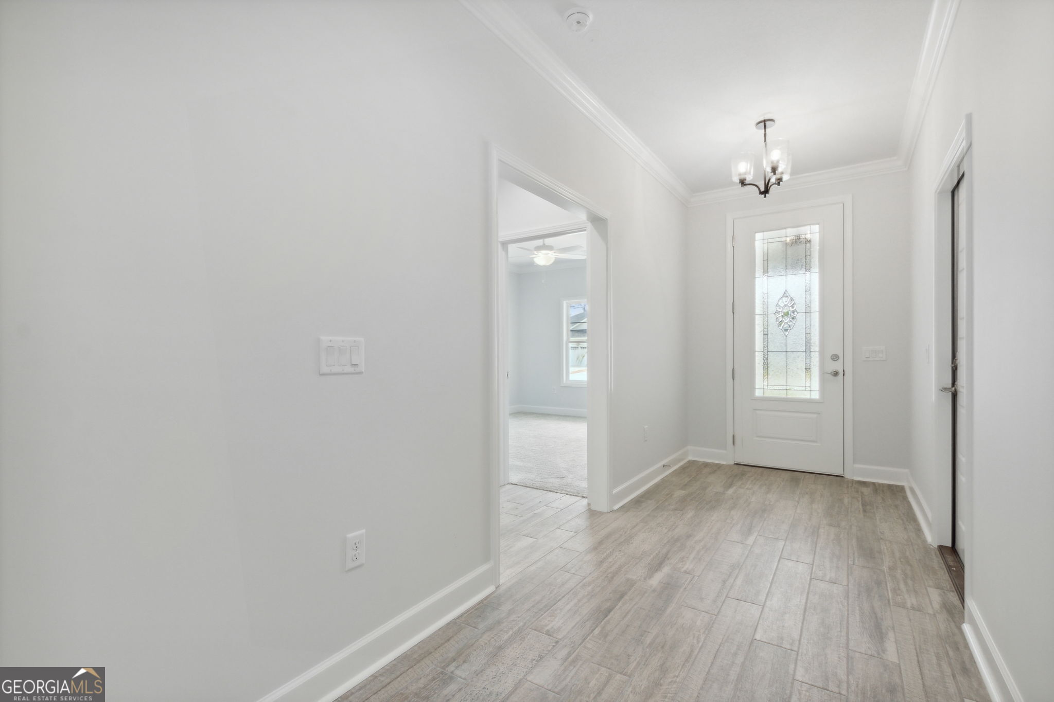 137 Green Turtle CT B