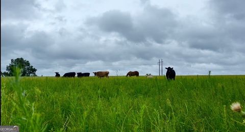 00 Lynntown Rd Collins GA 30421